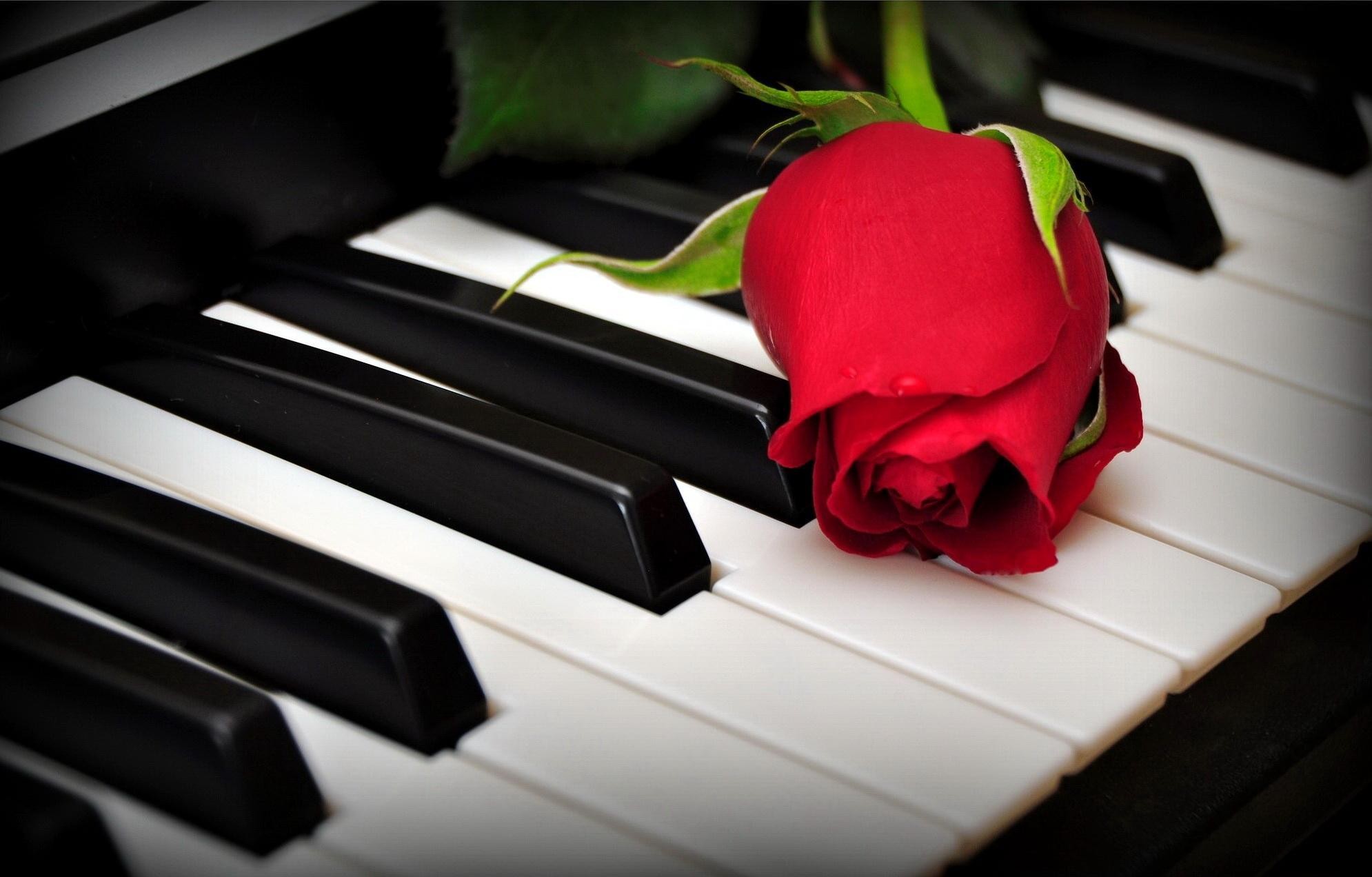 romantic-piano-86547